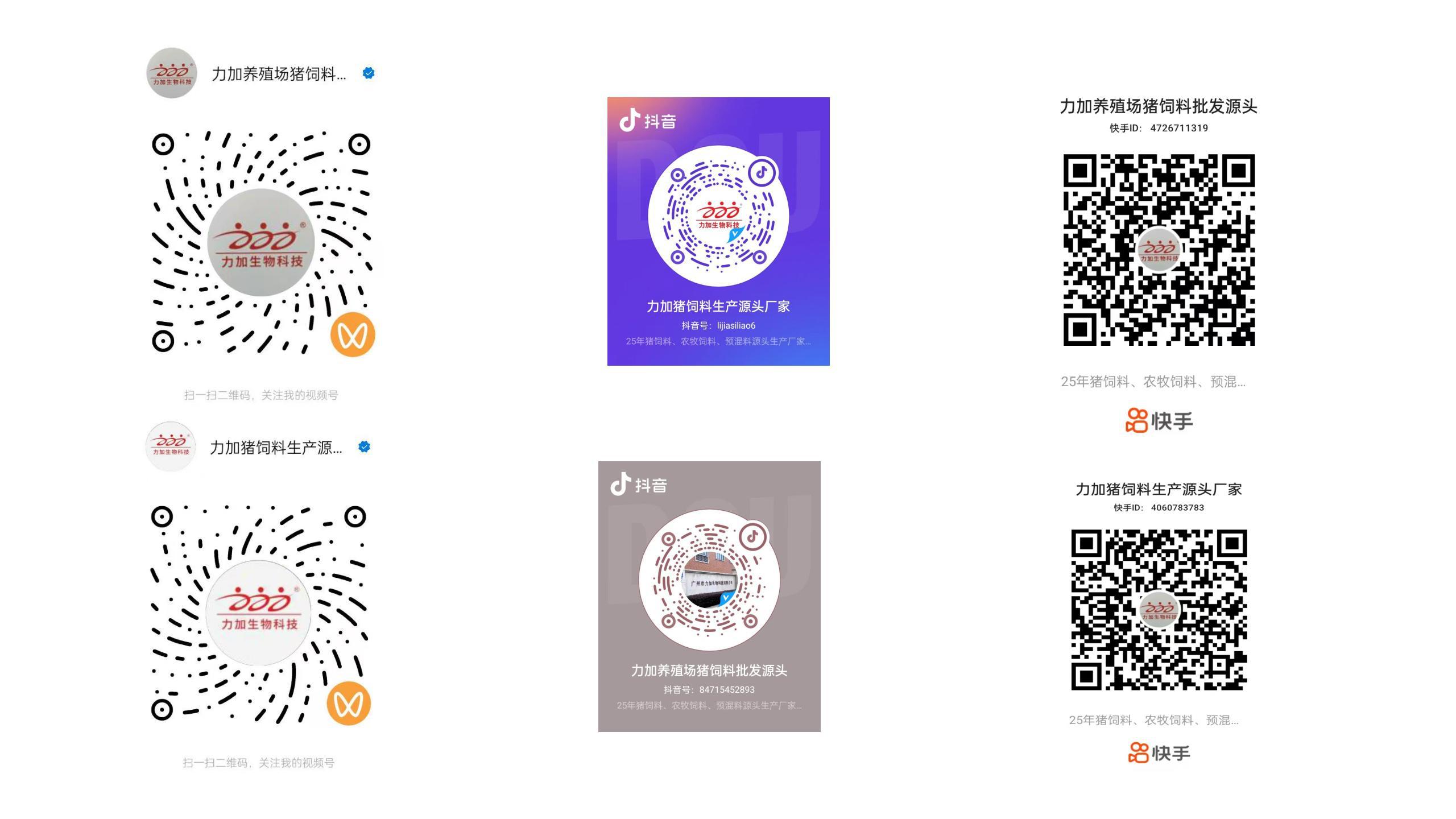 50net永乐高集团网销平台正式上线