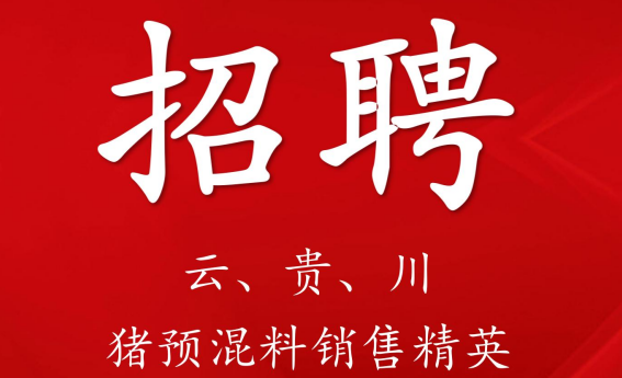 招  聘